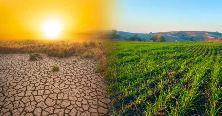 Resiliência às mudanças climáticas: protegendo cidades inteligentes