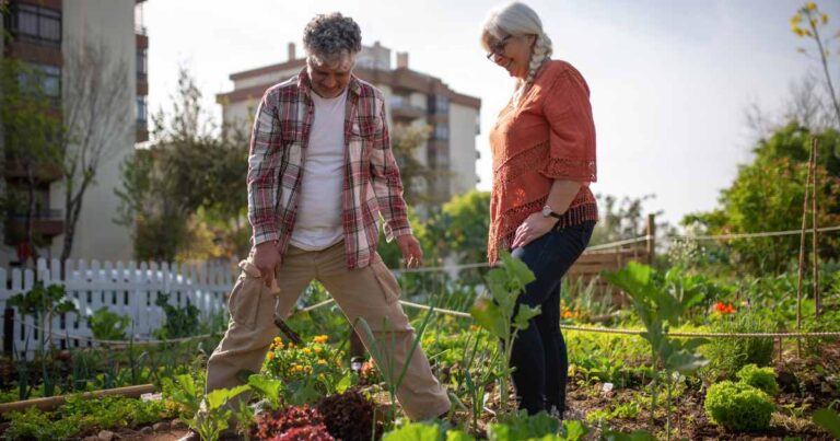 Sustentabilidade: desafios e benefícios das hortas urbanas e periurbanas