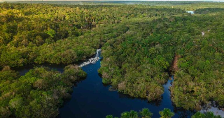 Nova pesquisa sobre a Amazônia alerta sobre a qualidade do ar