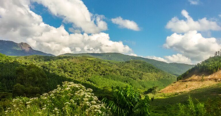 Monte verde: a charmosa “Suíça de Minas” e um dos destinos mais acolhedores do mundo