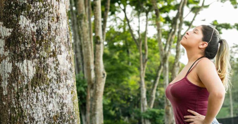 Monitoramento da qualidade do ar: dever das cidades ou do Estado?