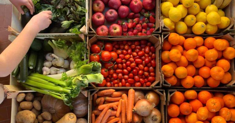 Produção de alimentos será impactada por tecnologia, clima e novas demandas sociais