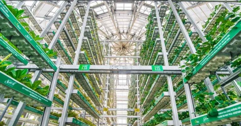 Inovações que transformam fazendas verticais em solução urbana