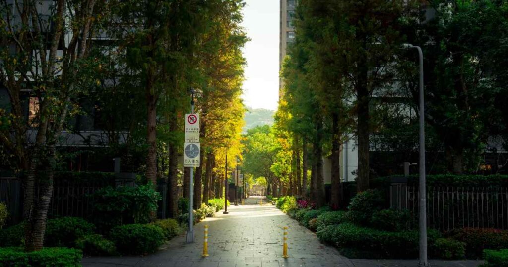 Corredores verdes transformam caminho ao trabalho em experiência zen (e esfriam a cidade)