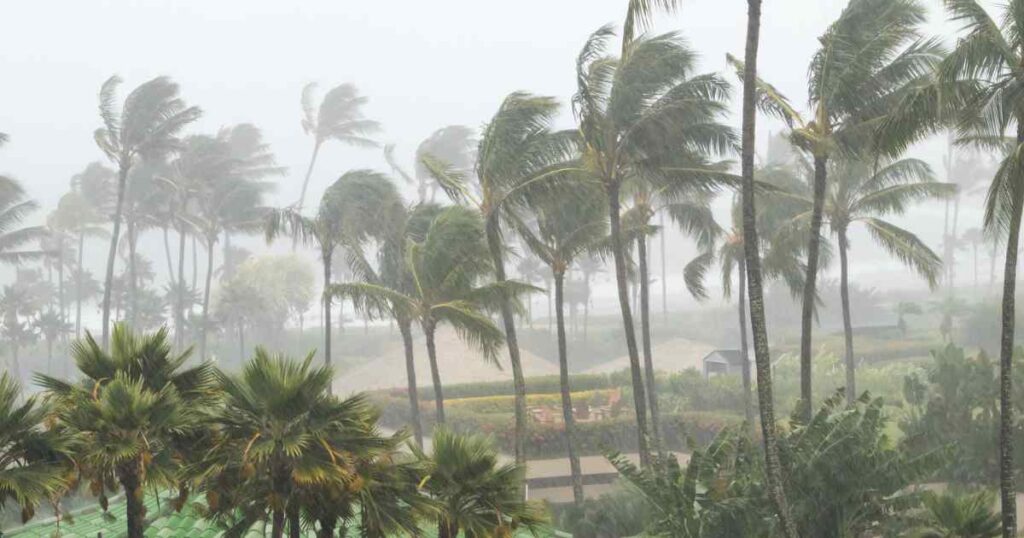 Refugiados climáticos estão chegando às cidades; Cincinnati decidiu se preparar